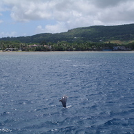 IMGP6072