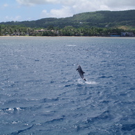 IMGP6073