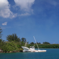 IMGP6454