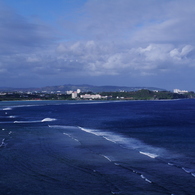 IMGP5546