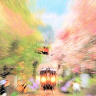 わ鉄ブレンド