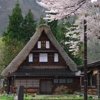 春の合掌集落