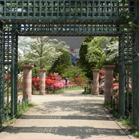 平成つつじ公園5
