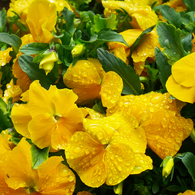 saturated colors　#03