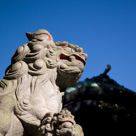 2010-11-03 王子神社