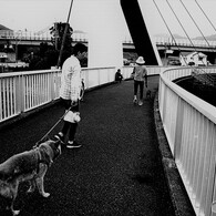 夕刻