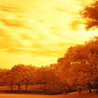GARDEN INFRARED (02)