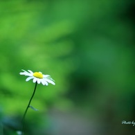安らぎの時間