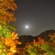 Kourankei☆