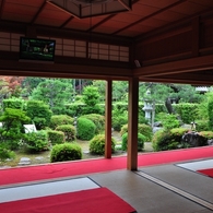 大地寺庫裡の庭