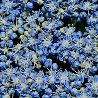 蒼の世界２