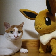 どっちもぬいぐるみみたいwww