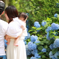 ♡の紫陽花見つけたヨ