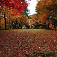 高山城　本丸跡にて