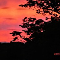 深紅に染まる