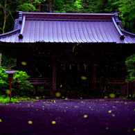 静岡県の某神社