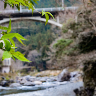 2019_03_30_御岳山2