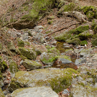 2019_03_30_御岳山3