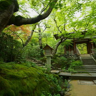 嵯峨嵐山の常寂光寺