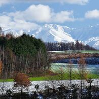 美瑛の雪化粧