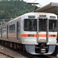身延線　313系