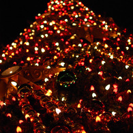 DisneyLand クリスマスツリー