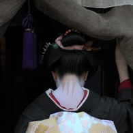 八朔オフショット : 襟足 三本足