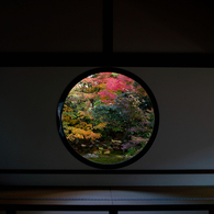 悟りの窓