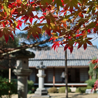 gradation