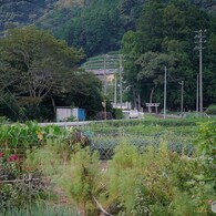 里山散歩