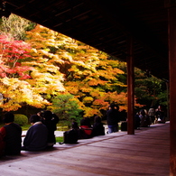 201011　見る撮る　南禅寺天授庵