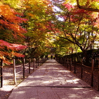 201011光明寺紅葉坂