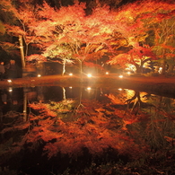 Water Mirror