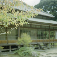 和風建築