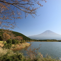 ウォーキング途中での富士遠望