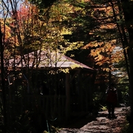 紅葉狩人