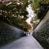 石塀、石畳と紅葉