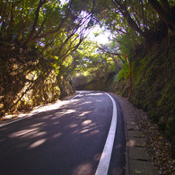 木漏れ日の快走路