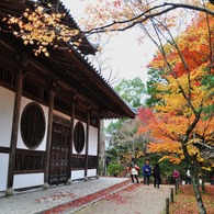 井山宝福寺*