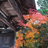 井山宝福寺