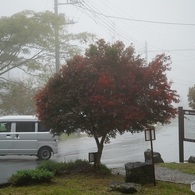 三分一湧水の紅葉