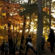 紅葉写真