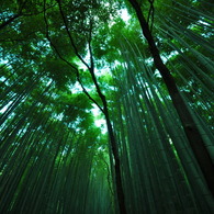 天高く
