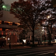 街の灯り