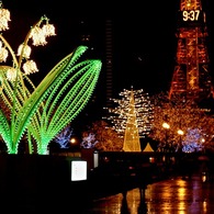 White Illumination 01