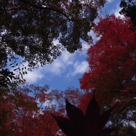photo_923025