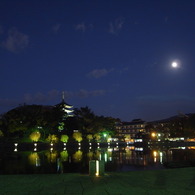 夜景～猿沢池と五重塔～