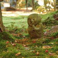 秋の祈り