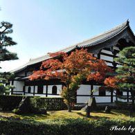 Ishi-kun_7463