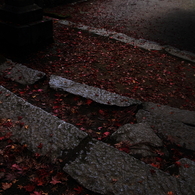 もみじ寺４
